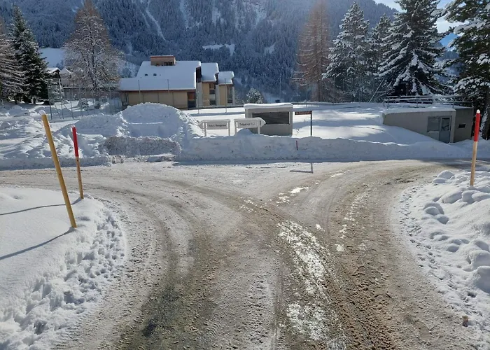 Disentiserhof Mila