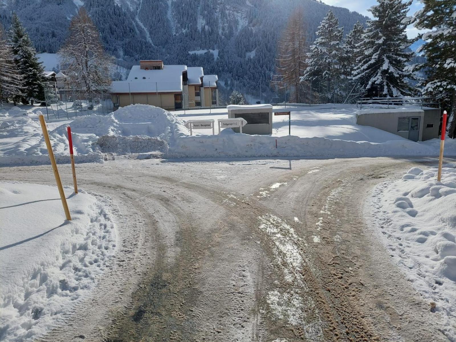 Disentiserhof Mila *