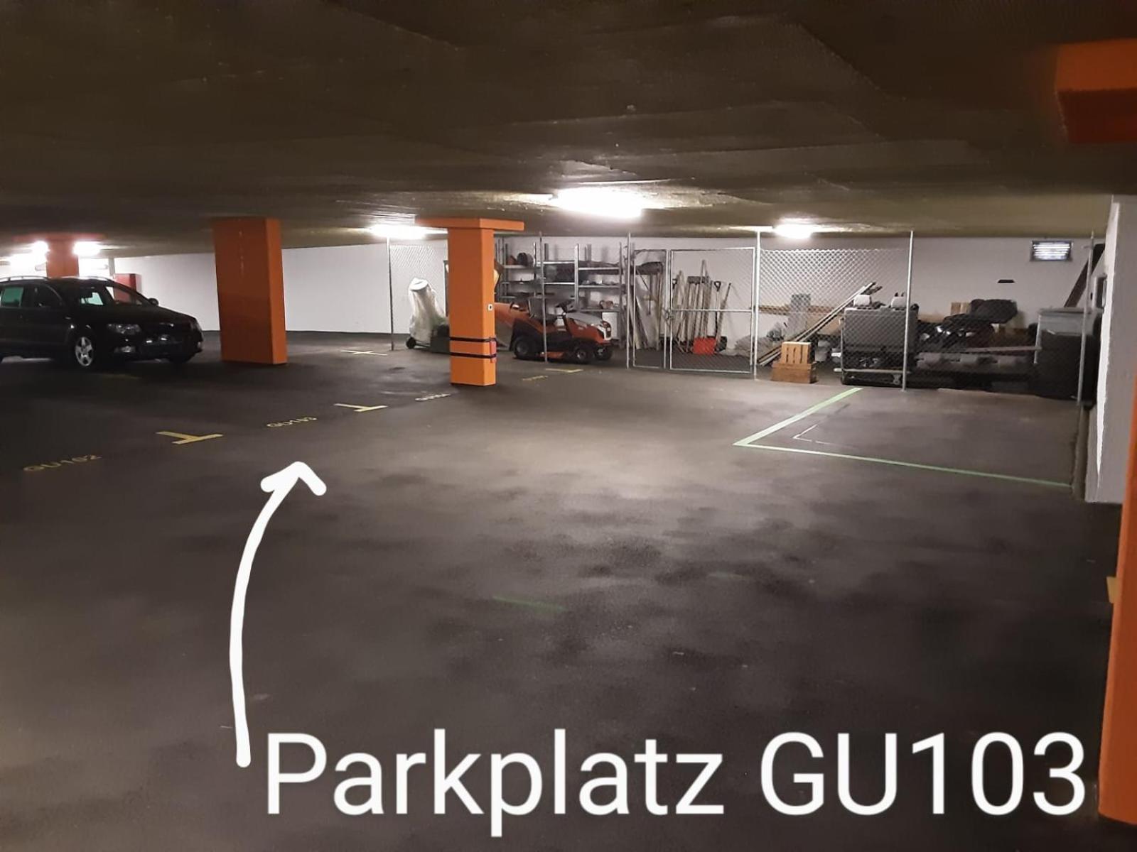 Disentiserhof Mila Appartement *